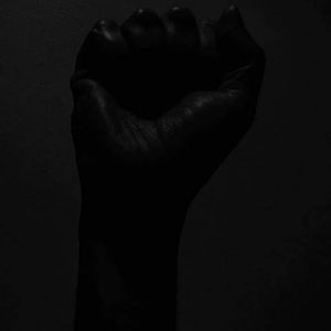 Meet your Posher, Carlin